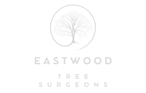 Eastwood Tree Surgeons